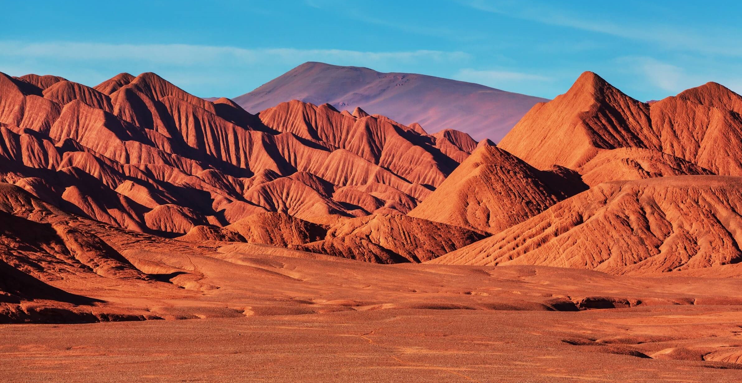 Imagen de Salta