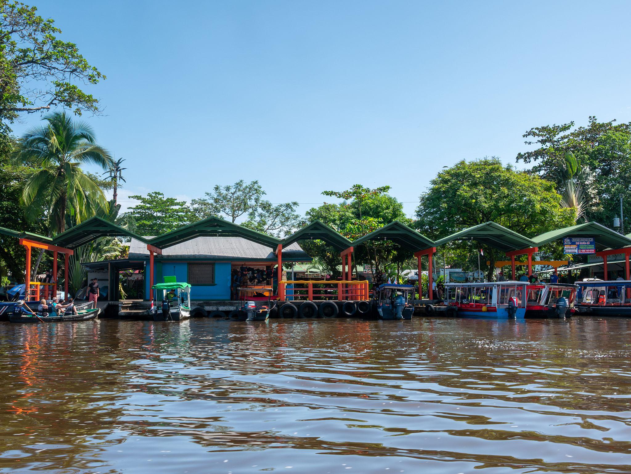 Imagen de Tortuguero