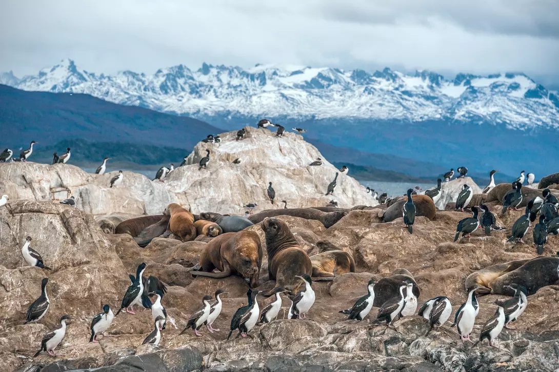 Imagen de Ushuaia