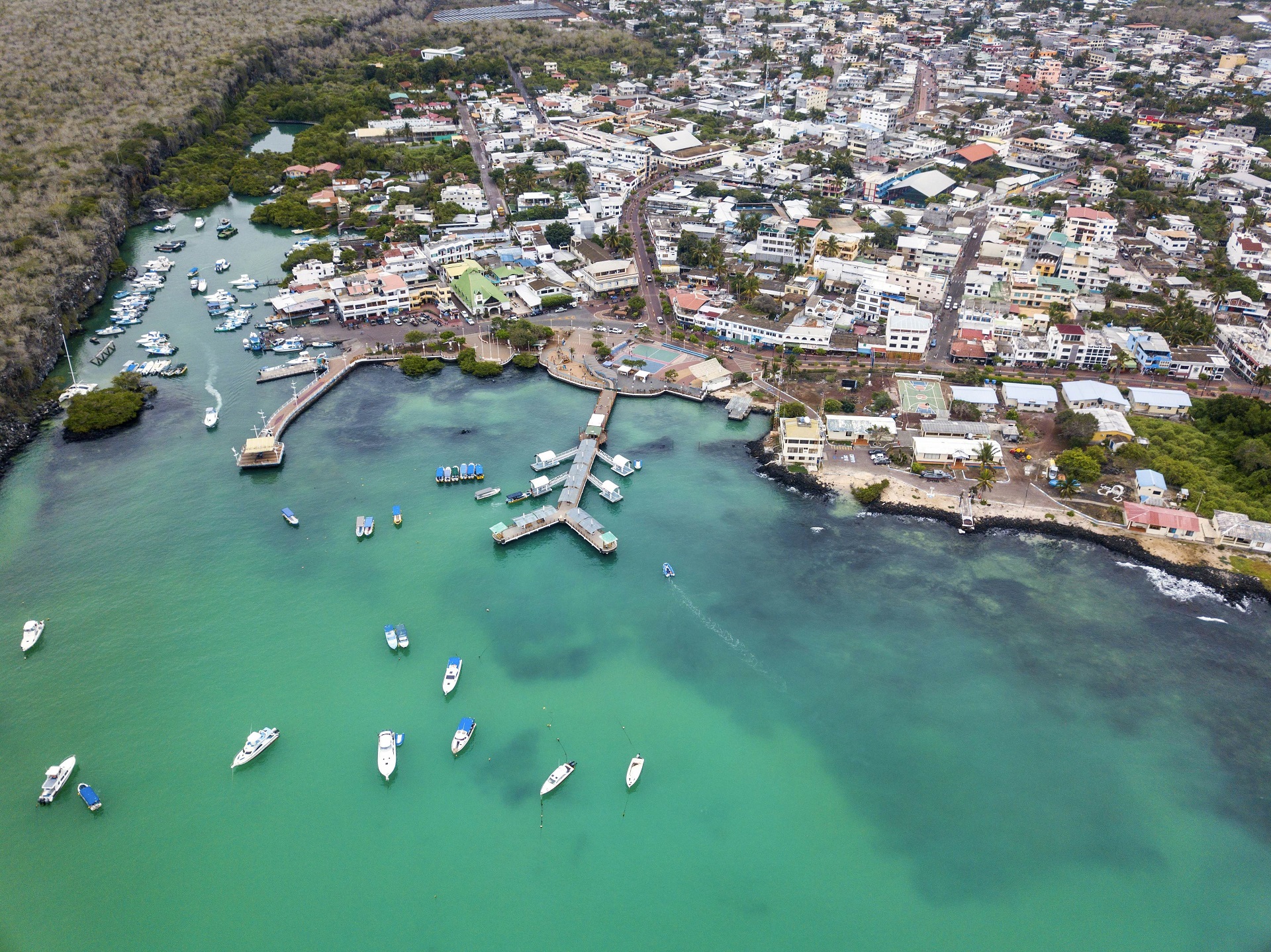 Puerto Ayora Galápagos  Island