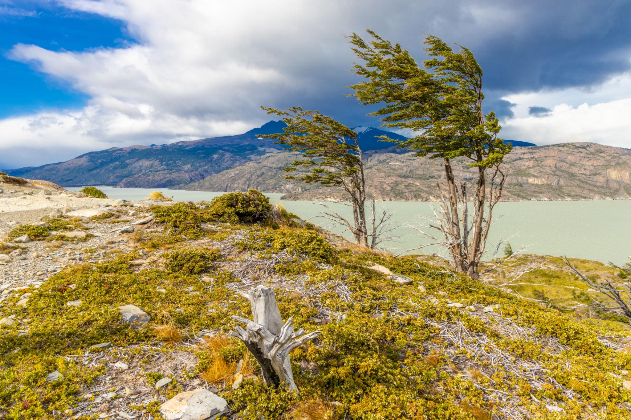 Imagen de Punta Arenas