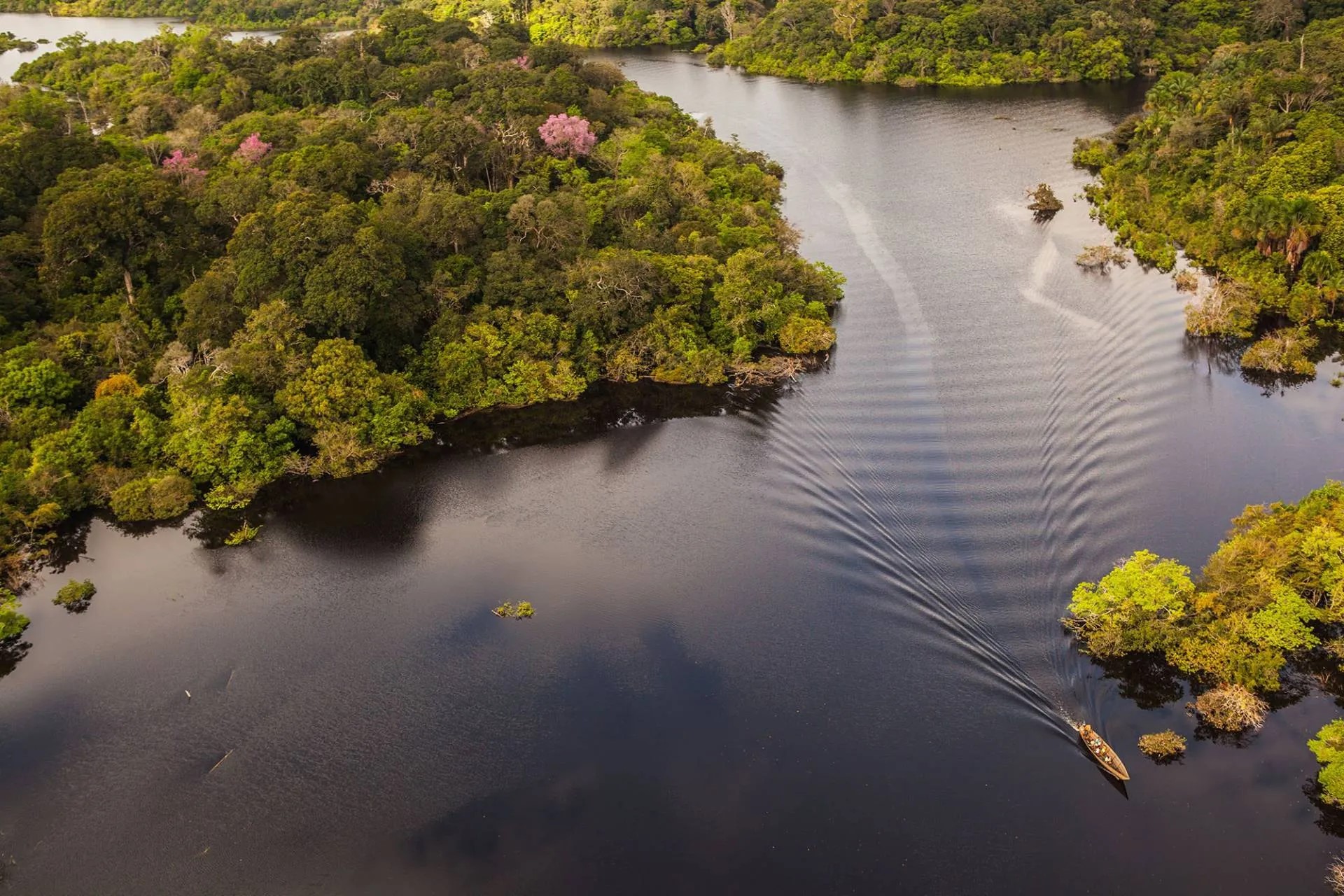 Manaus