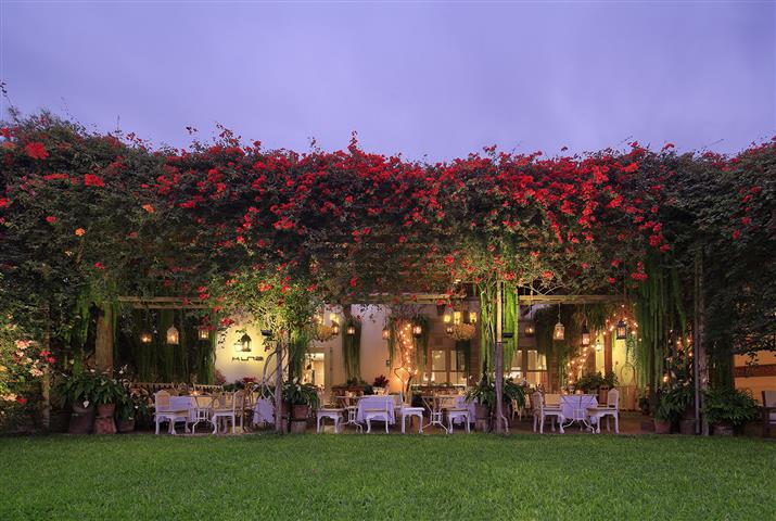 Imagen del lugar