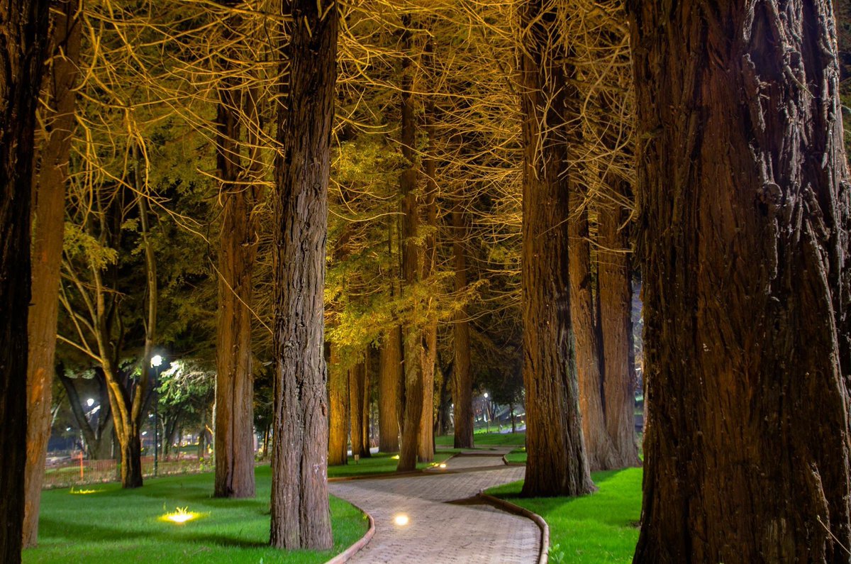 Fourth Centennial Park