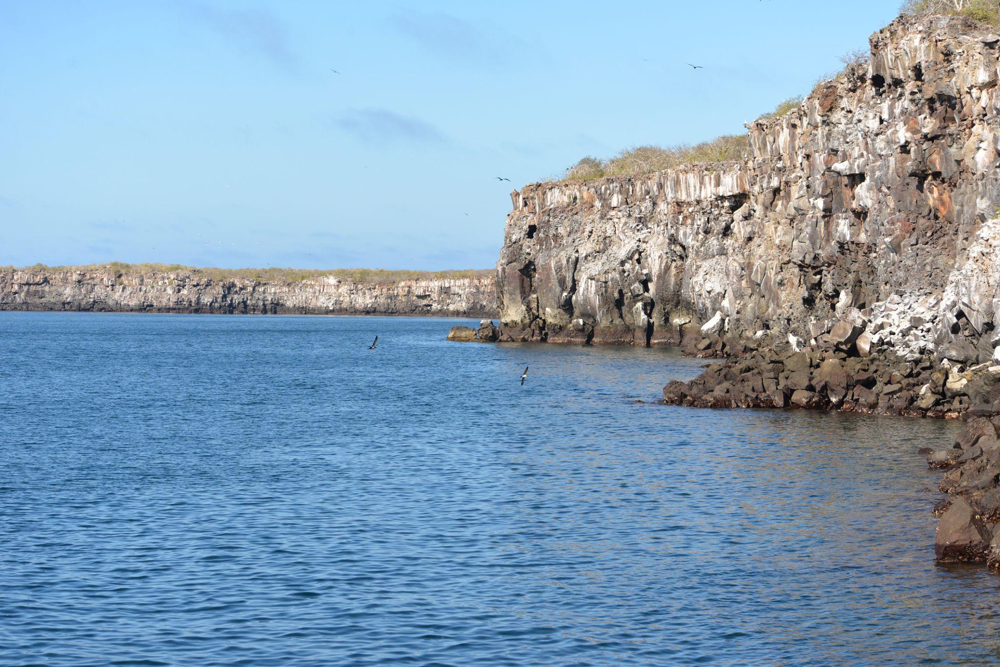 Imagen de Genovesa Island