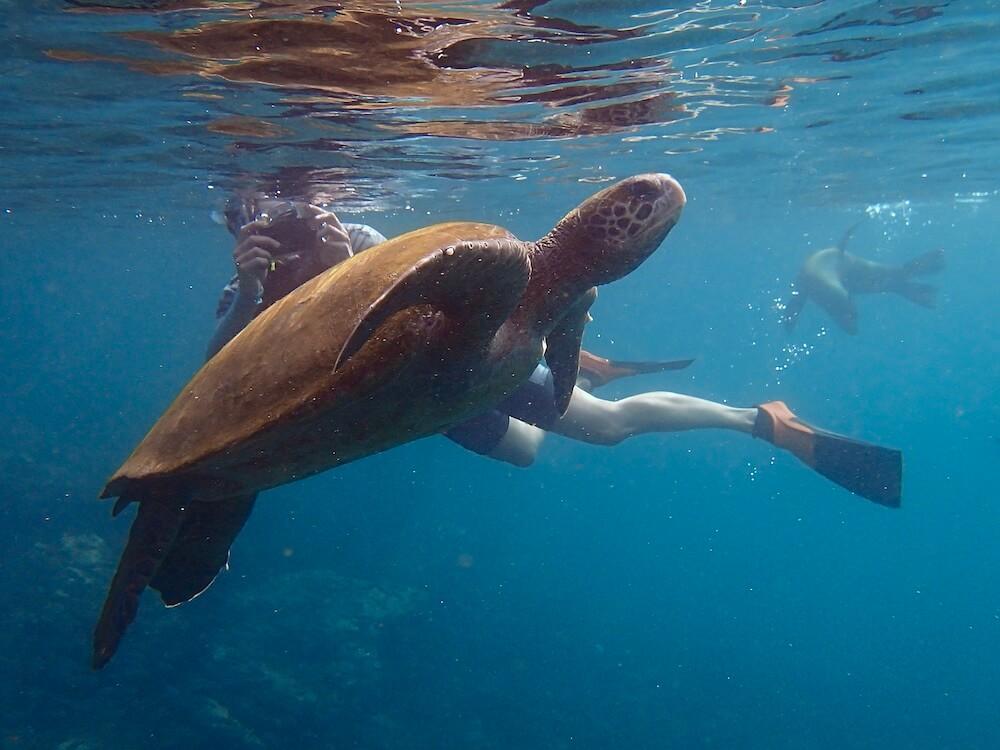Imagen de Bartolome Island