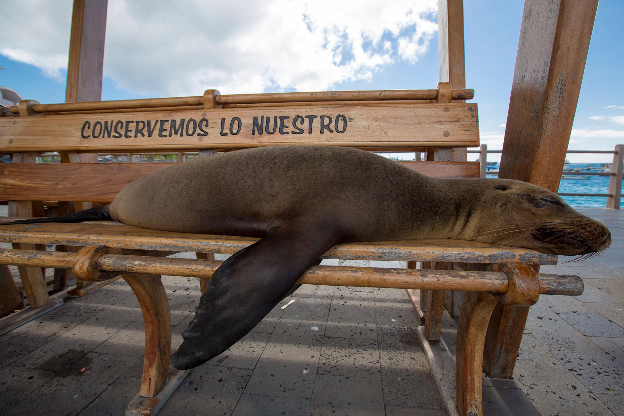 Imagen de Puerto Baquerizo