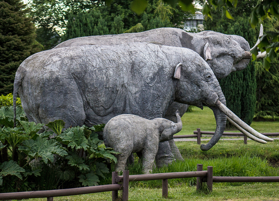 Chuyaca Pleistocene Park