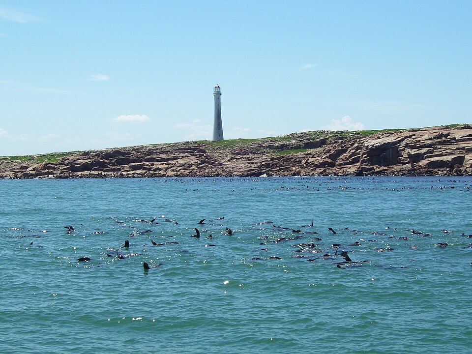 Isla Gorriti & Isla de Lobos