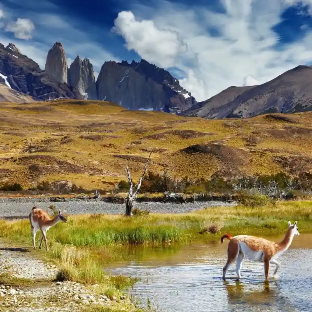 Imagen del lugar