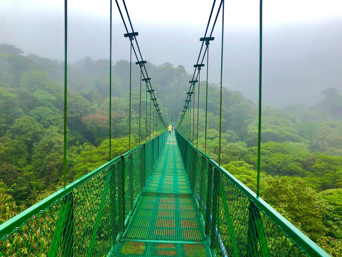 Imagen de Monteverde