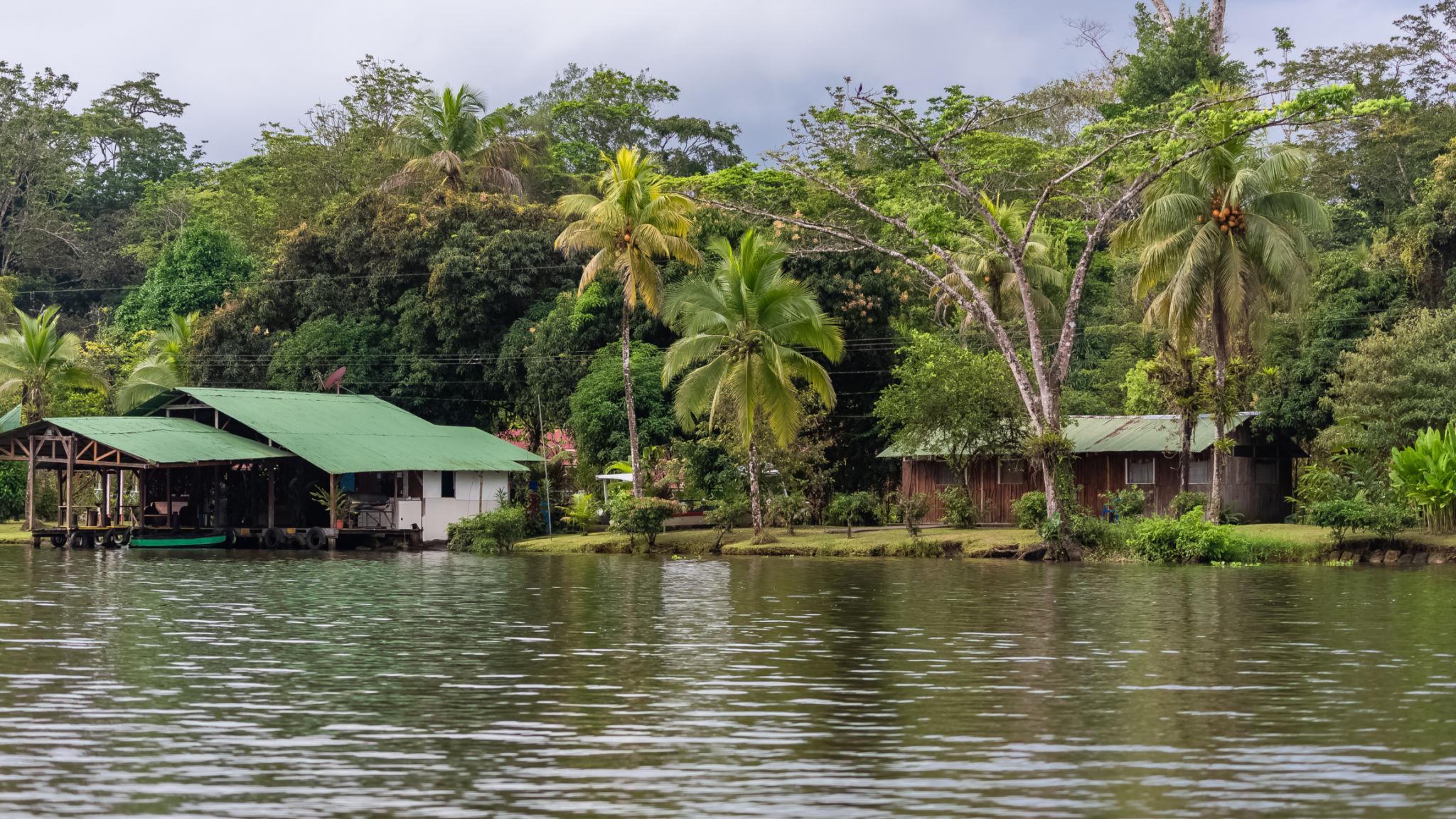 Imagen de Tortuguero