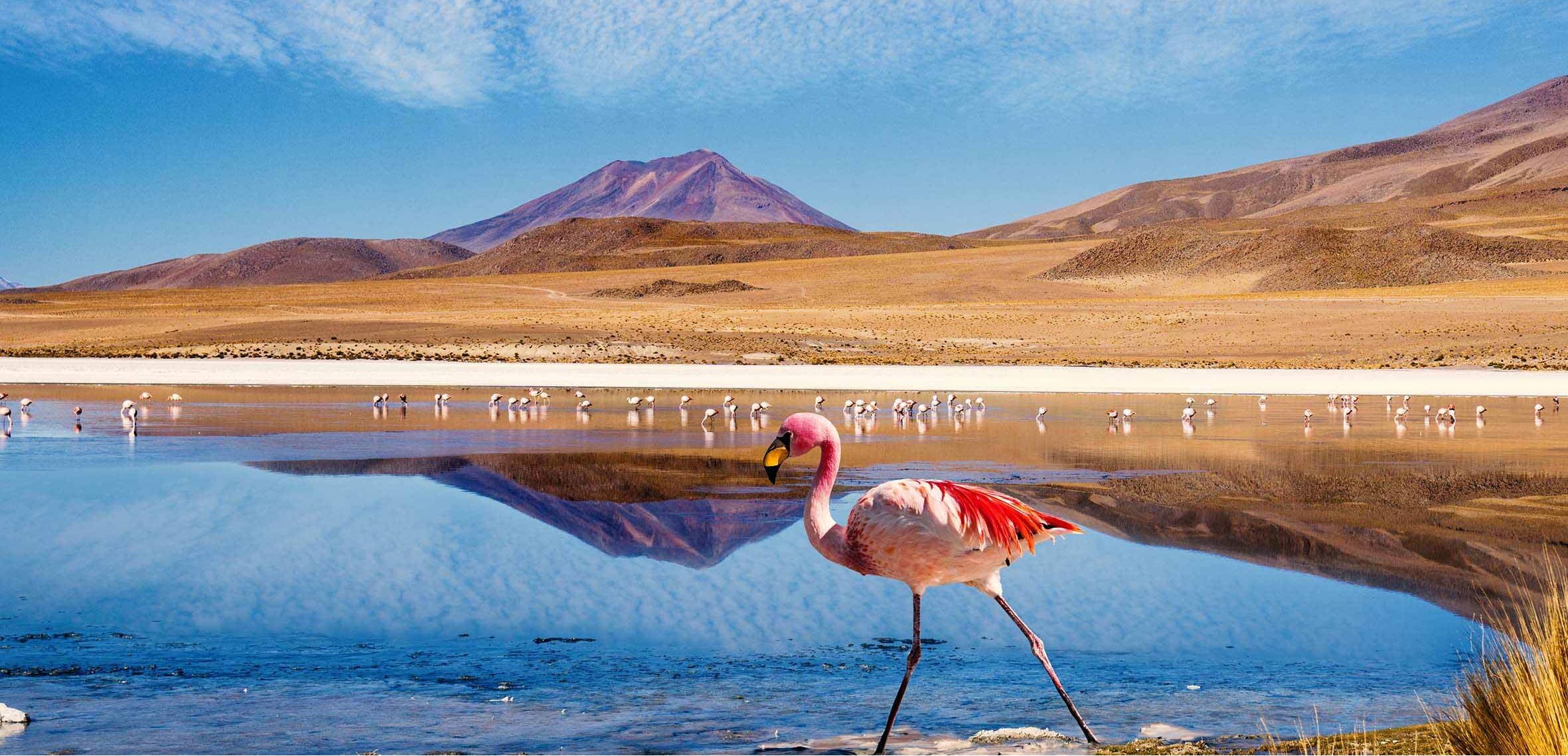 Imagen de Calama