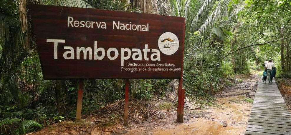Tambopata National Reserve