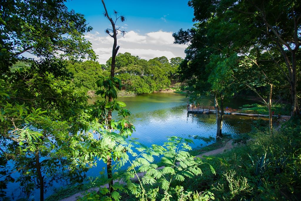 Santa Cruz Botanical Garden
