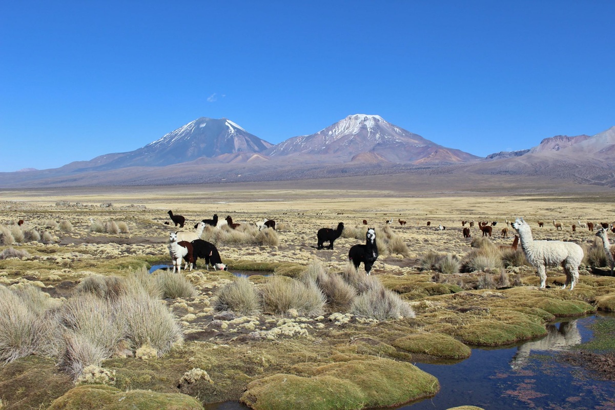 Imagen del lugar