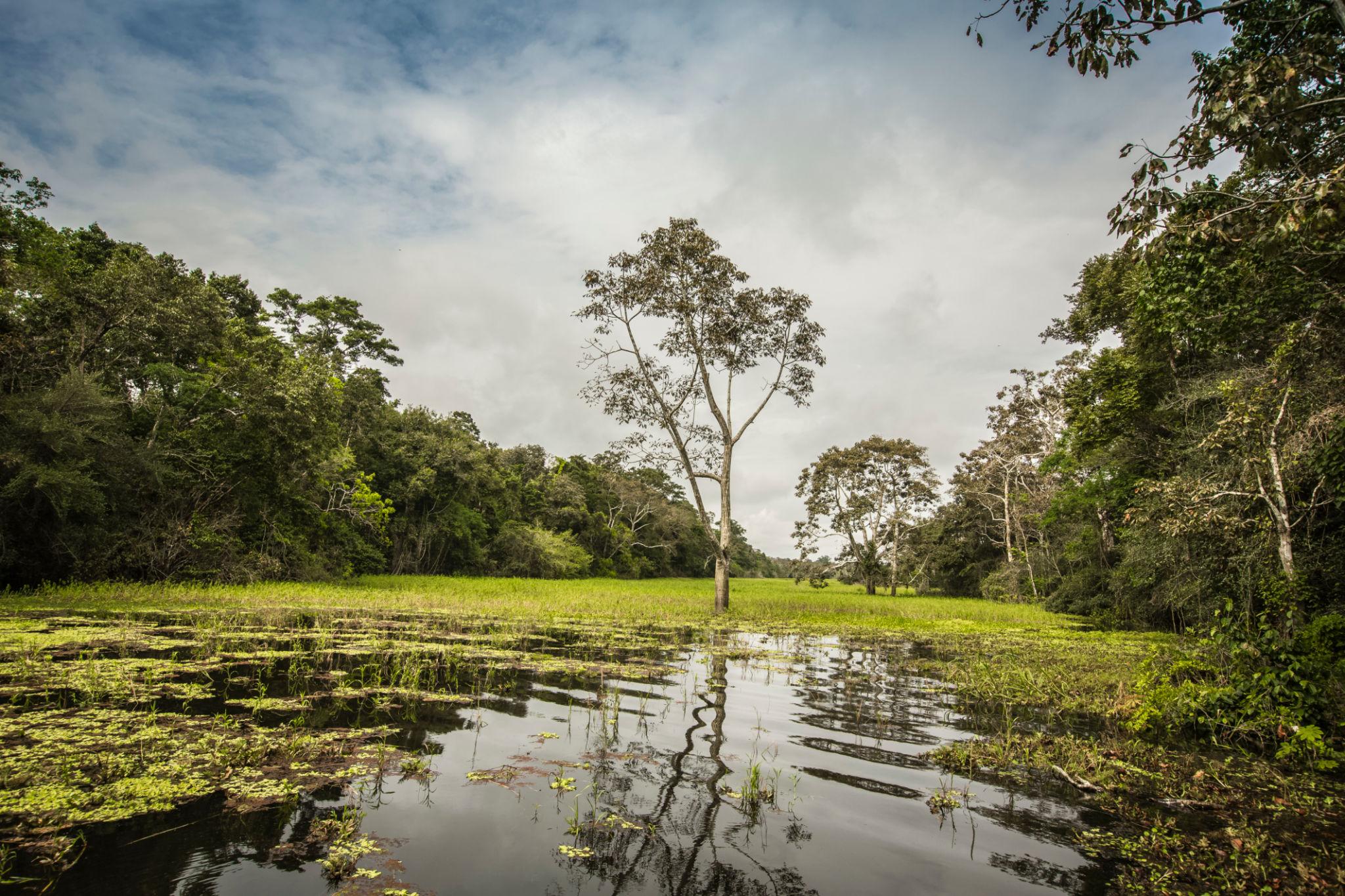 Imagen de Iquitos