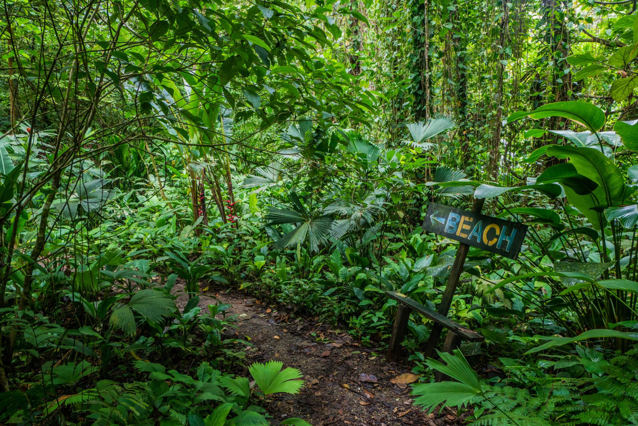 Imagen de Bocas del Toro