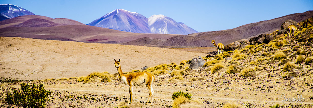 Imagen de Oruro