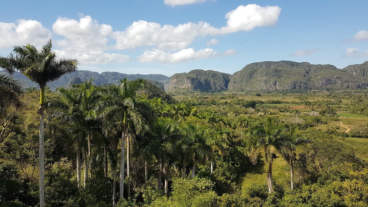 Imagen del lugar
