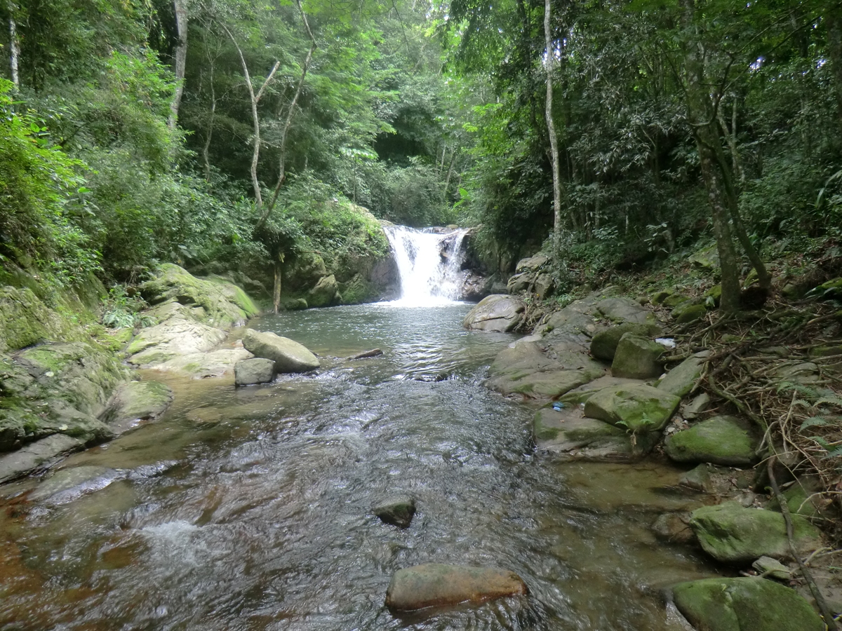 Imagen del lugar