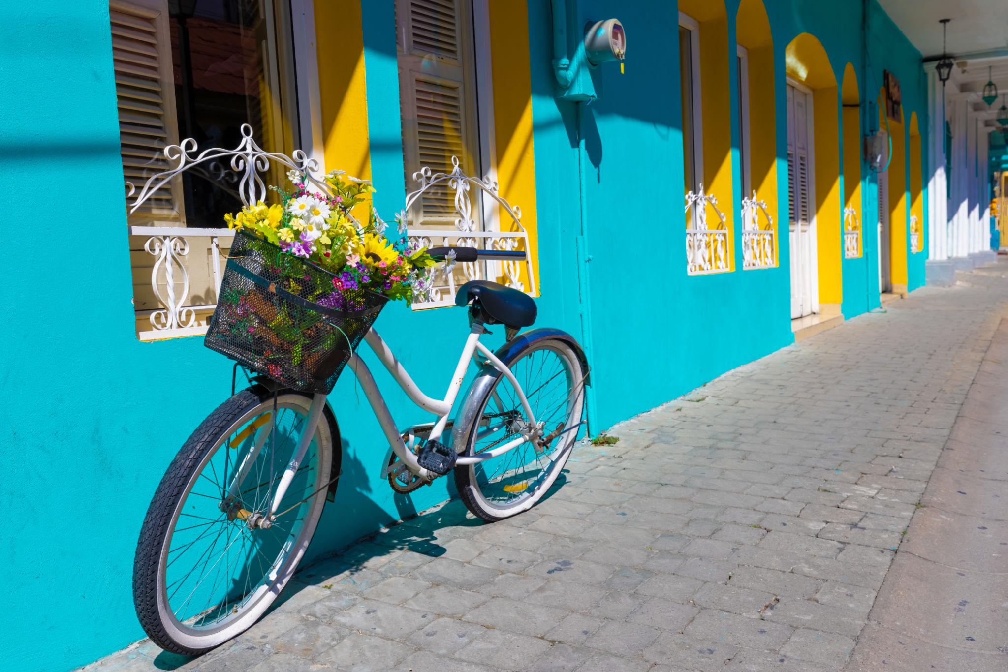 Imagen de Flores
