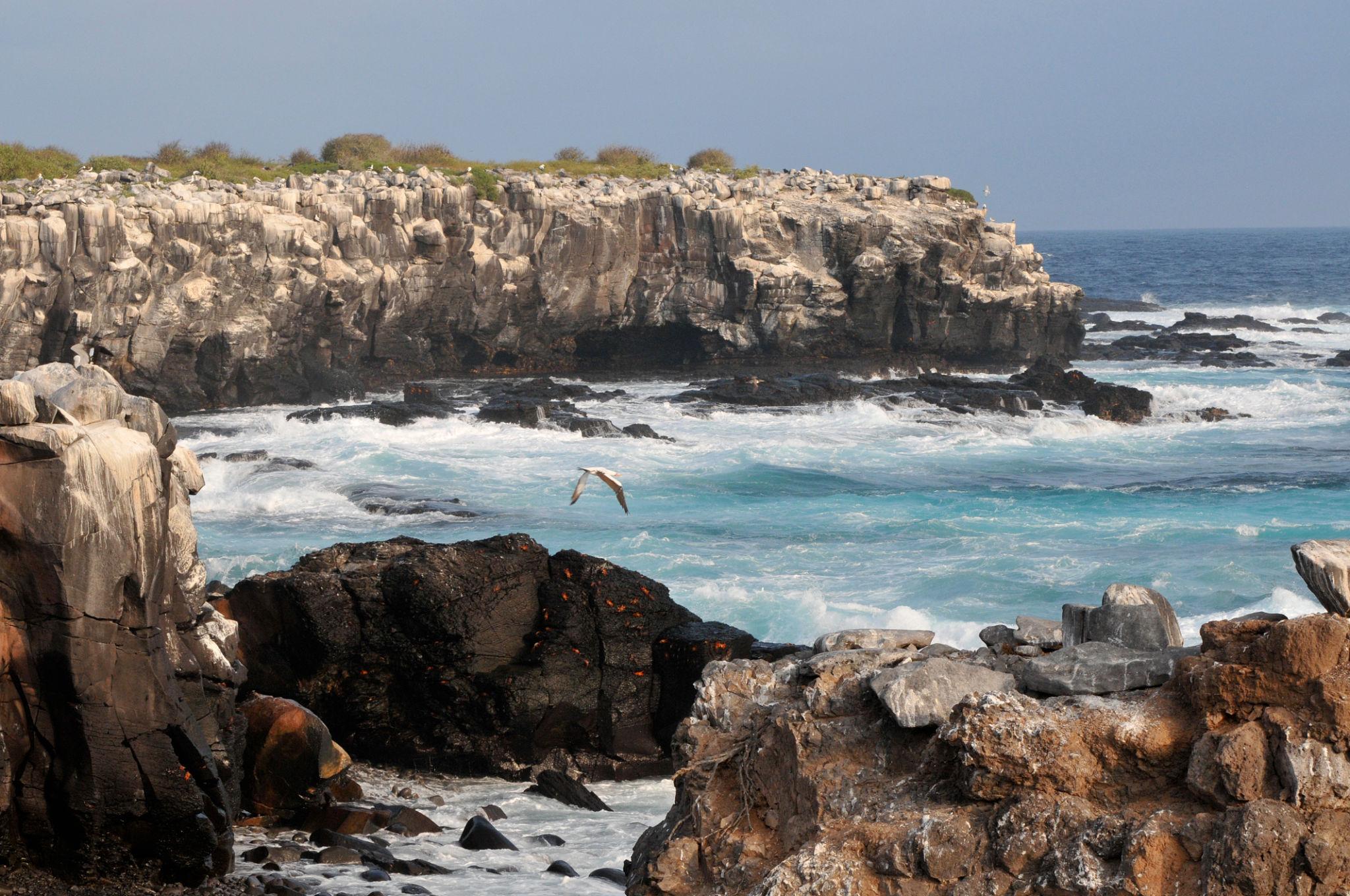 Imagen de Española Island
