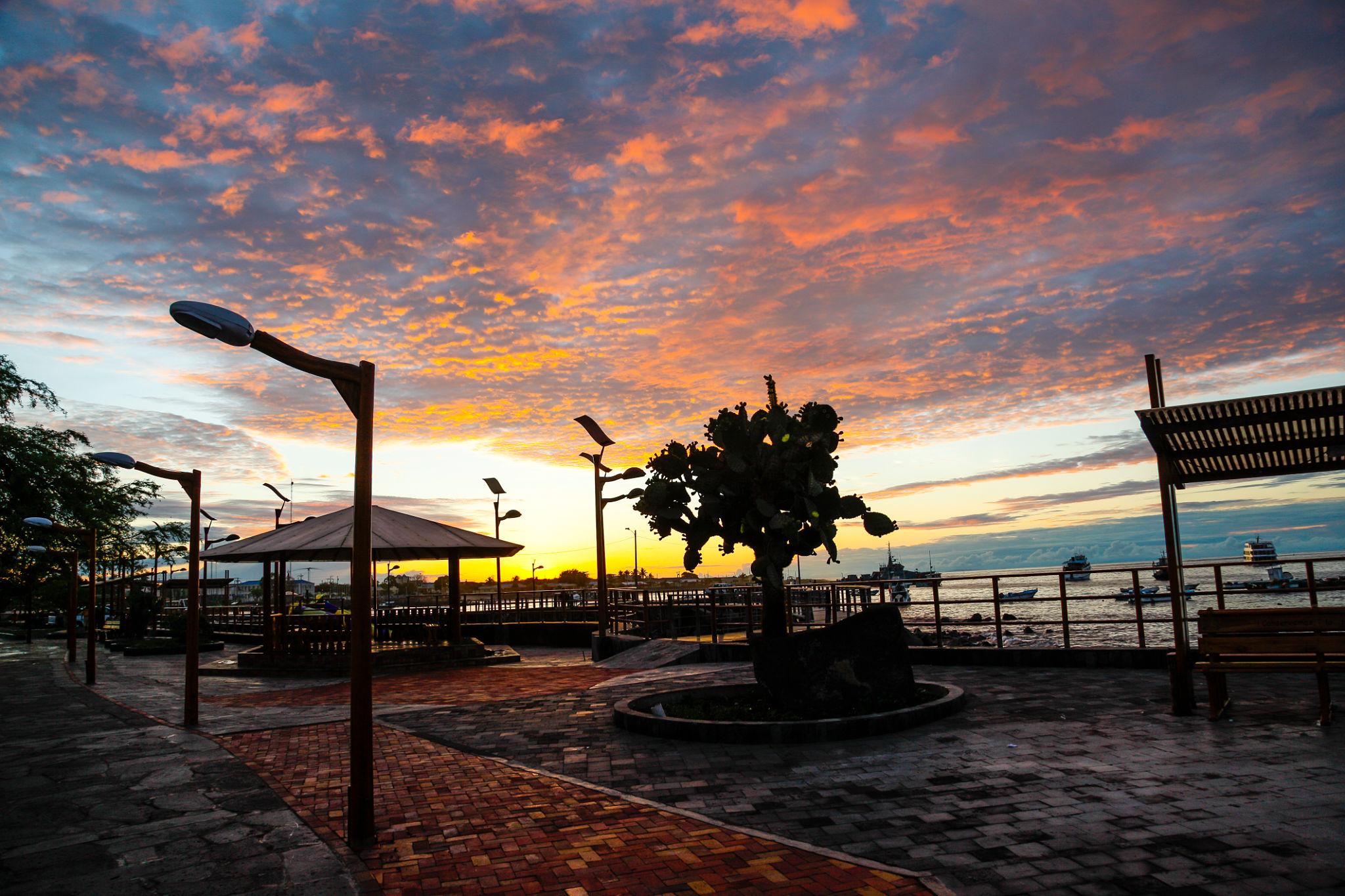 Imagen de Puerto Baquerizo