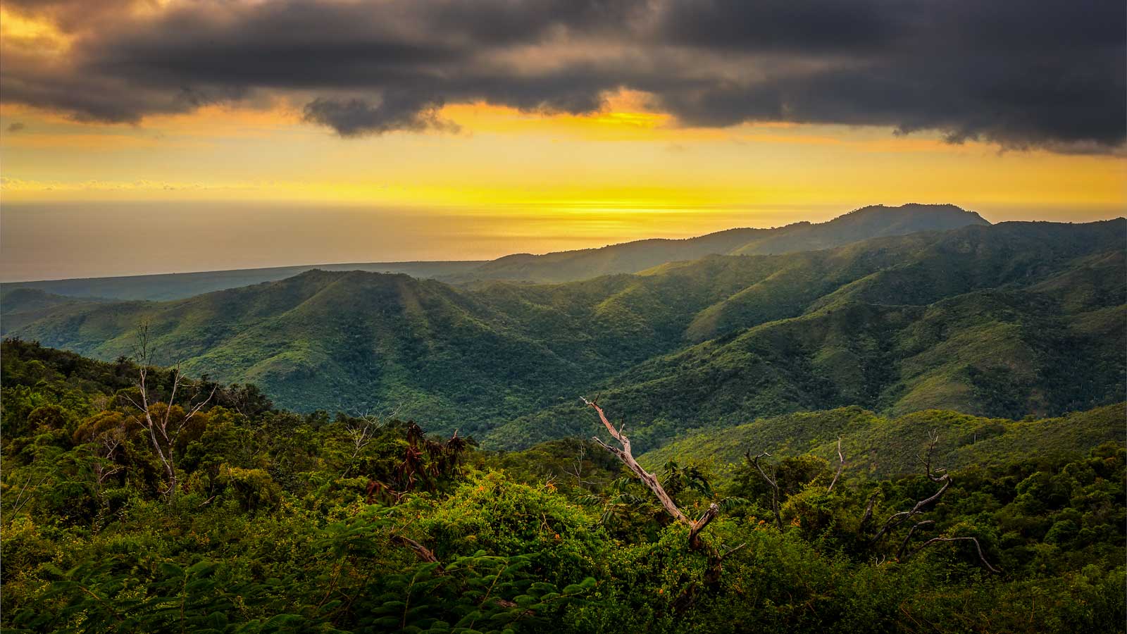 Imagen del lugar