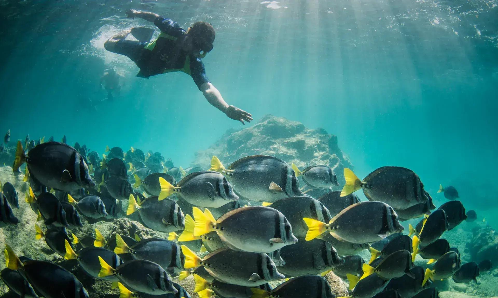 Imagen de Bartolome Island