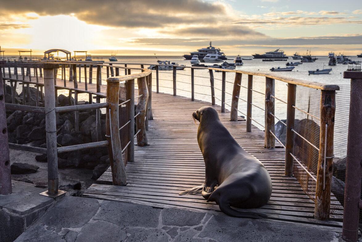 Imagen de Puerto Baquerizo