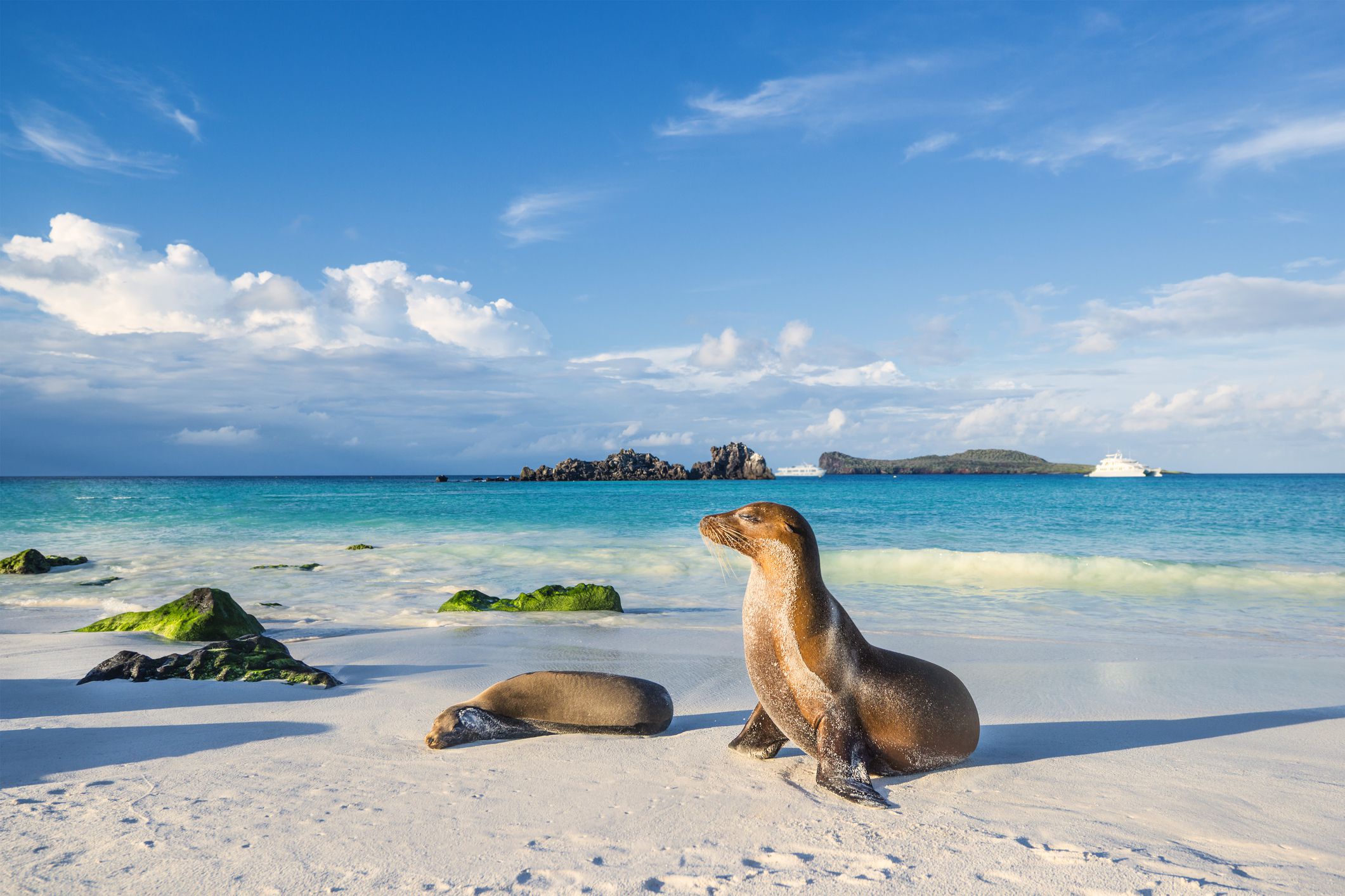 Baltra Island