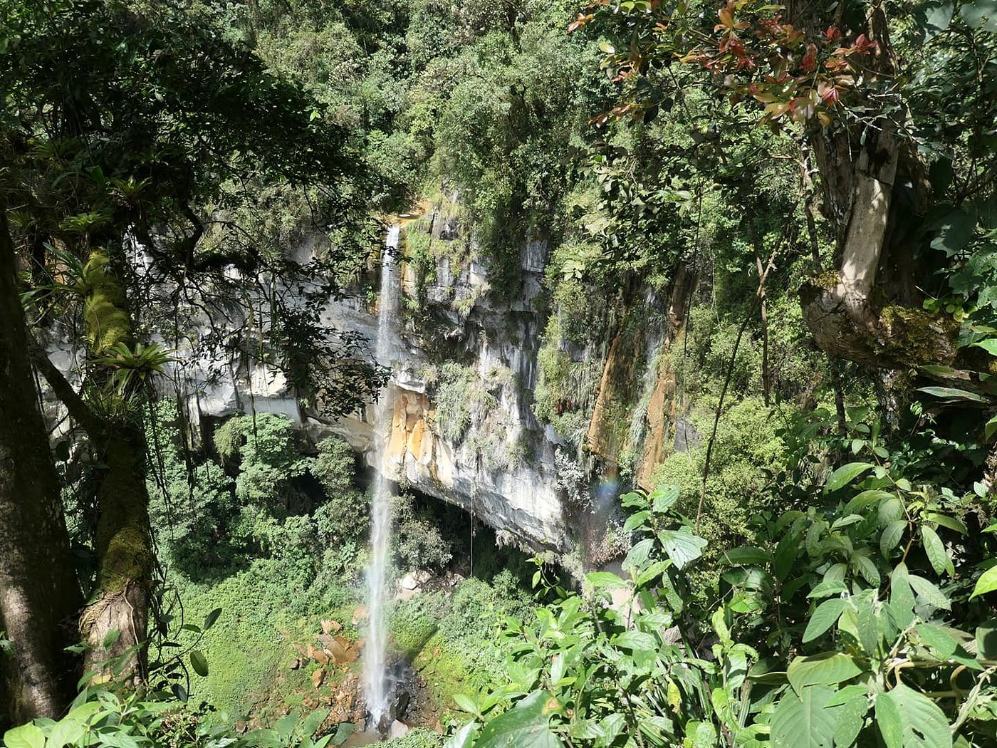 Imagen del lugar