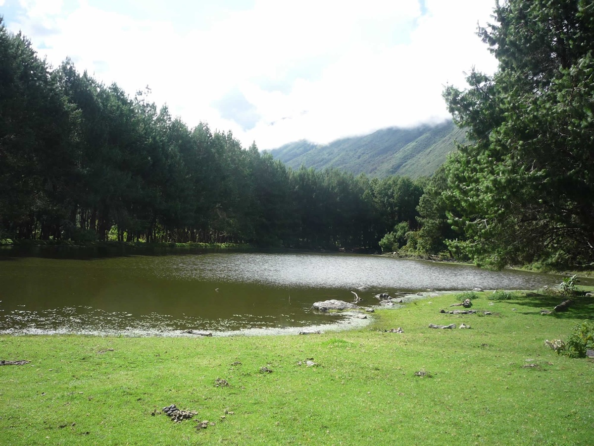 Imagen del lugar