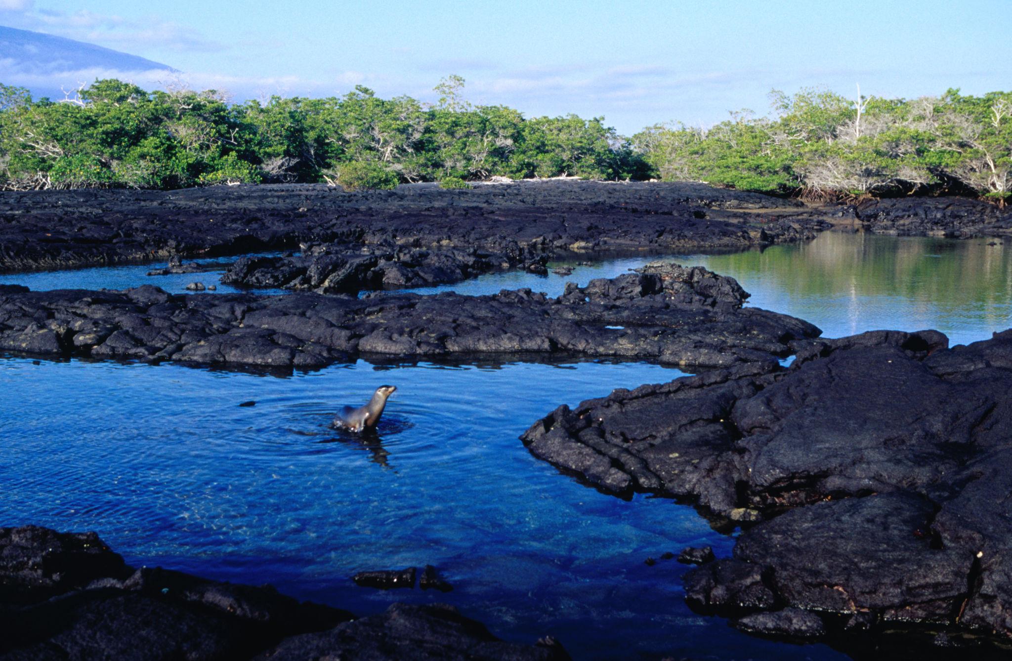 Imagen de Fernandina Island