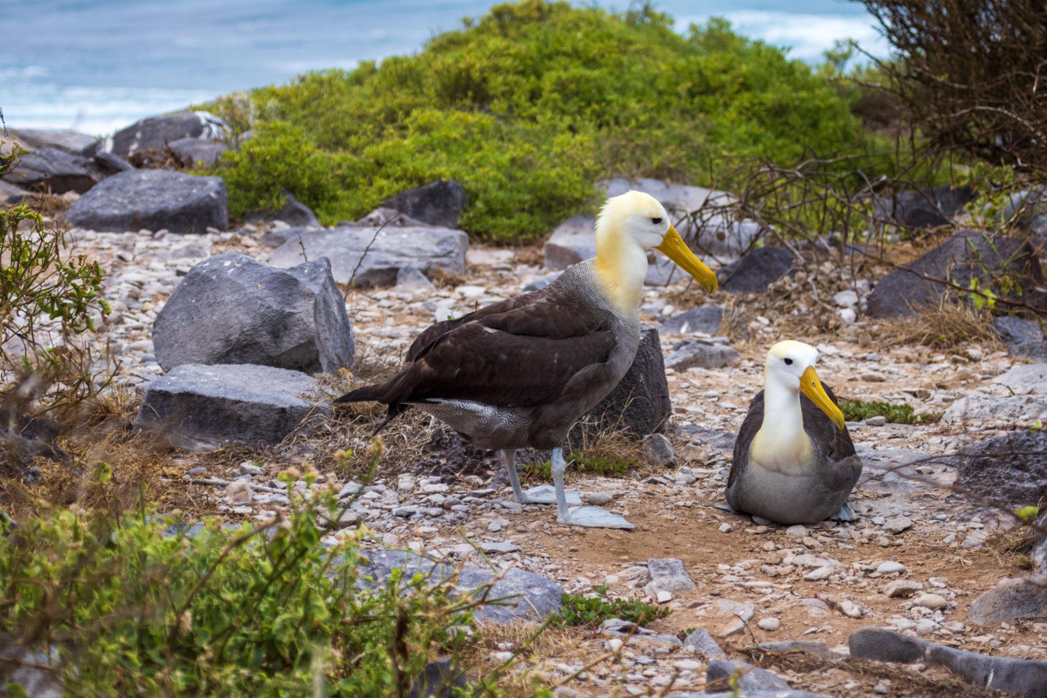 Imagen de Española Island
