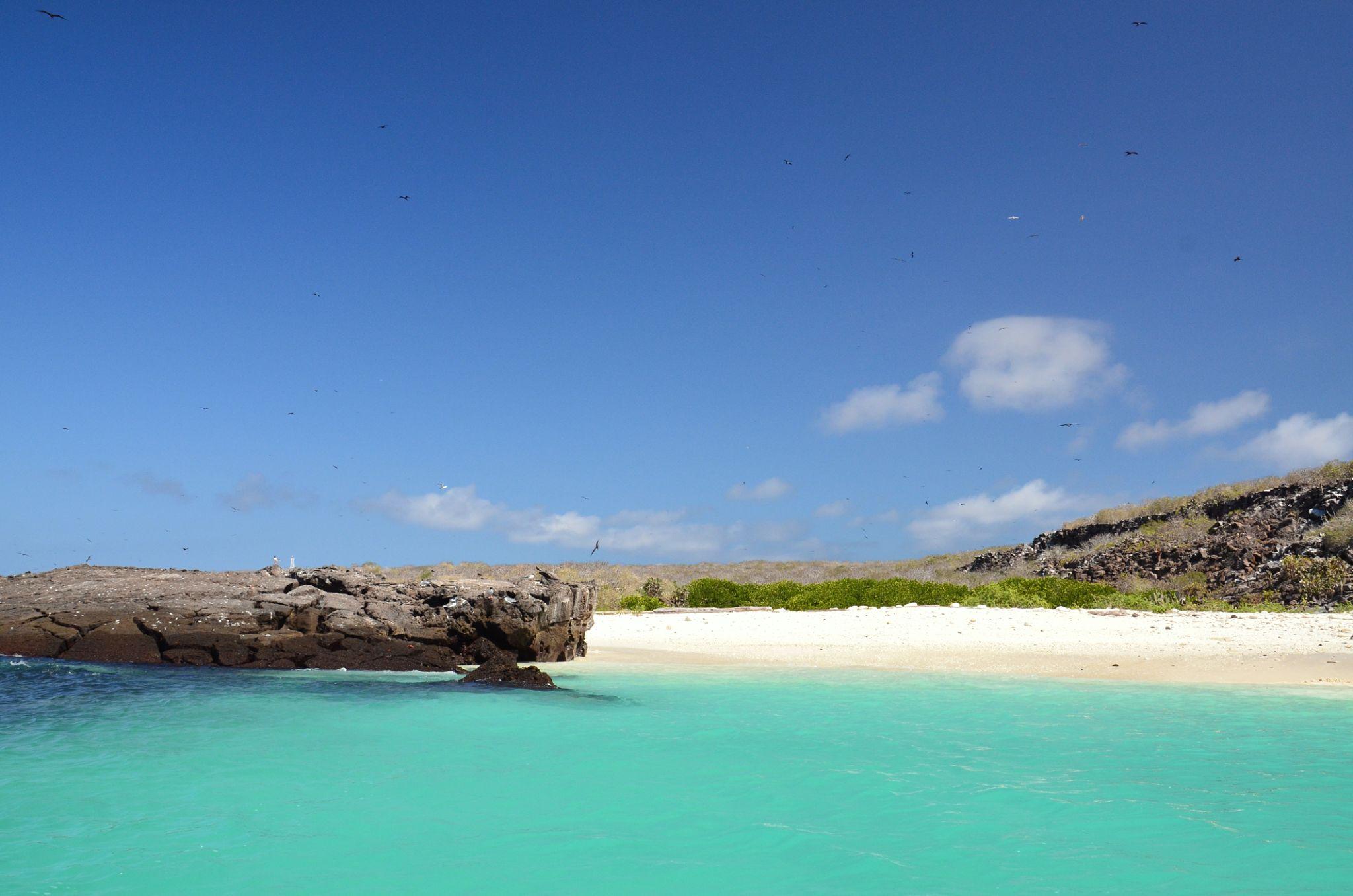 Imagen de Genovesa Island