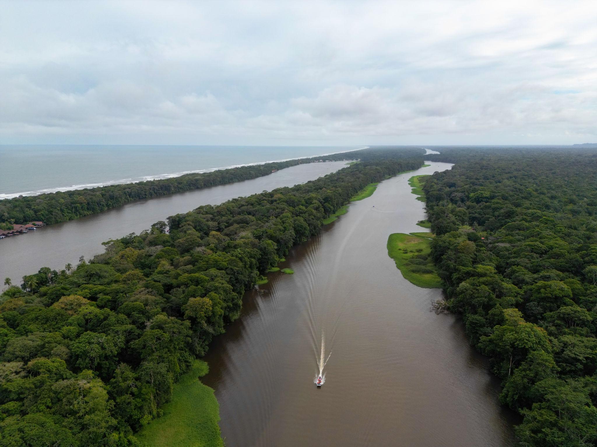 Imagen de Tortuguero