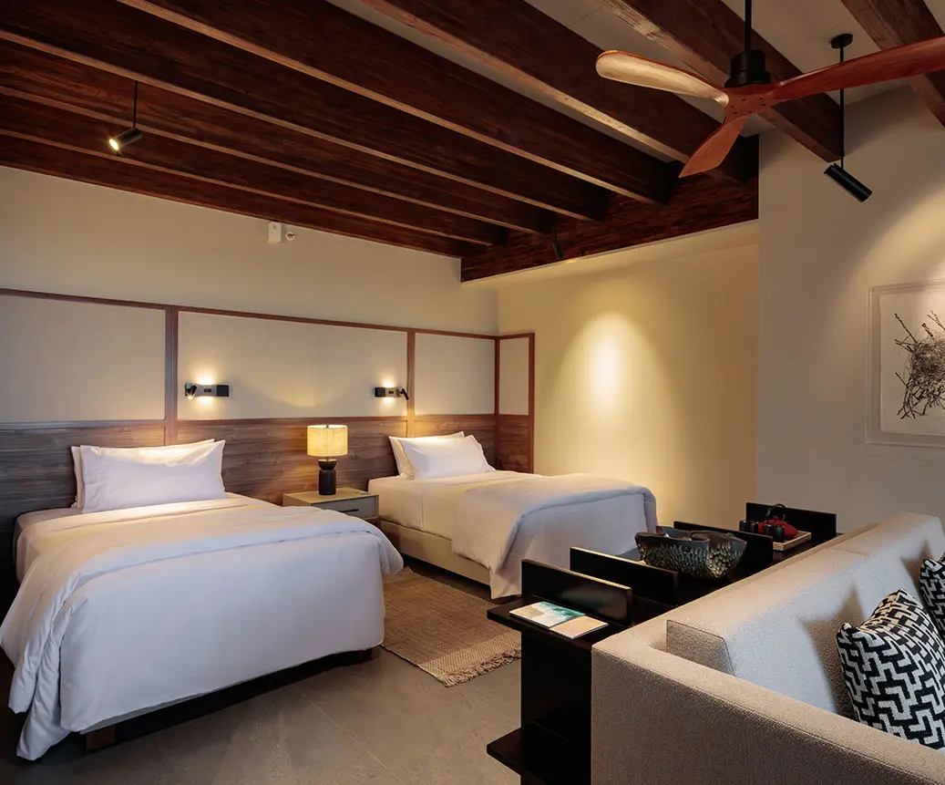 Evolution Suites - Image 2