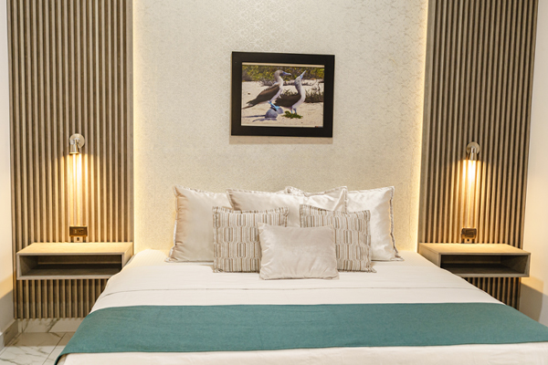 Suite - Image 1