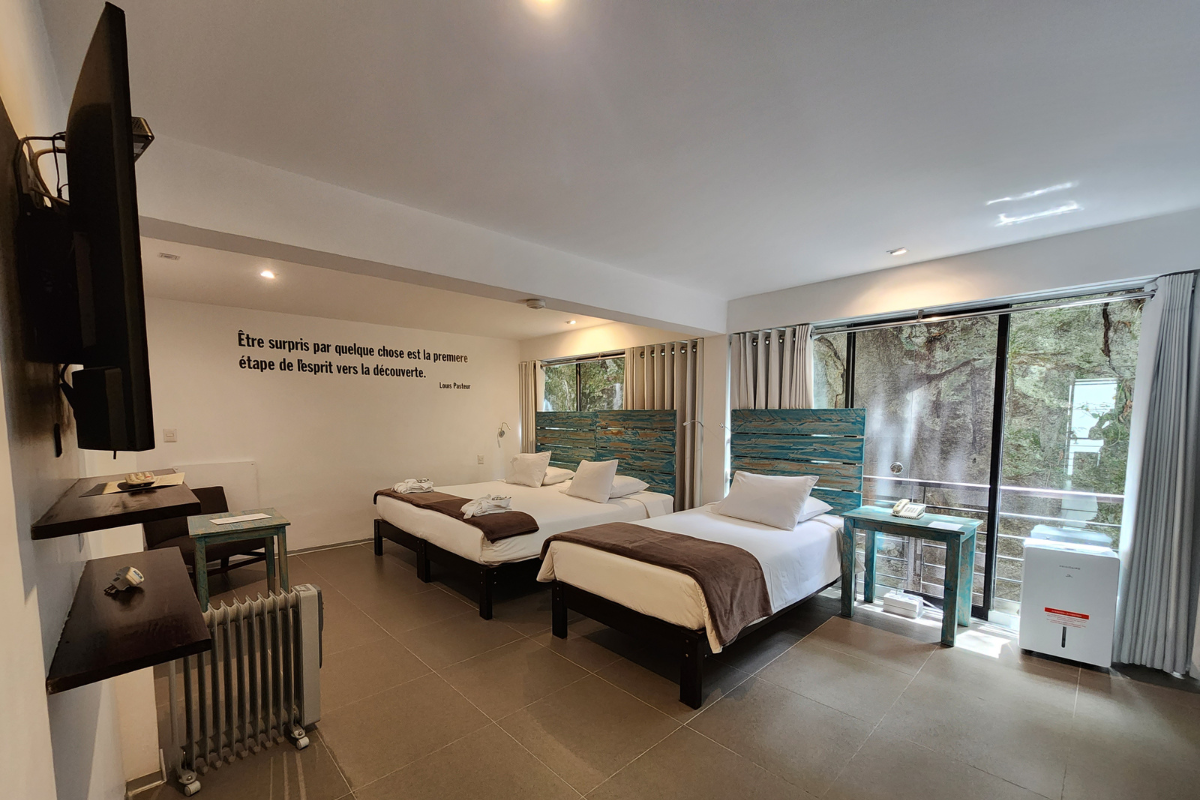 Triple Room - Image 3