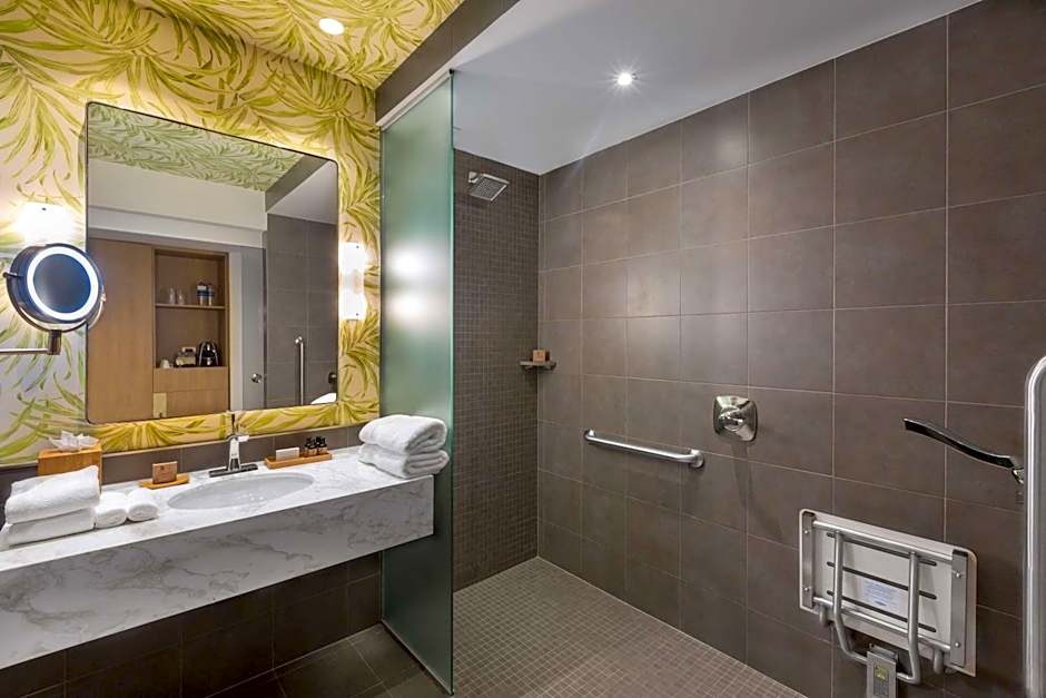 1 King Bed, Hearing/Mobility Accessible room with a convenient roll-in shower - Image 3