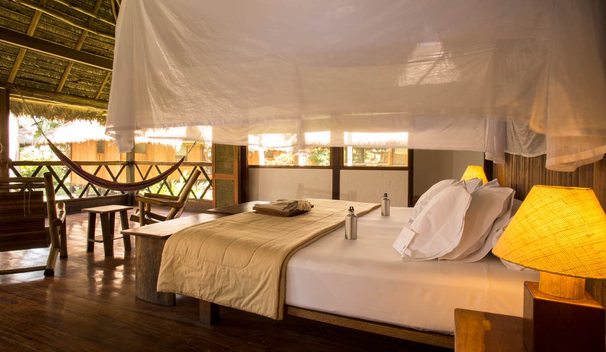 Tambopata Suite - Image 2