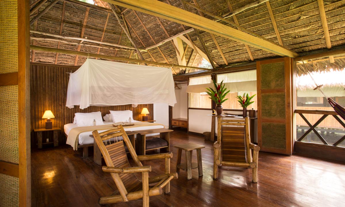 Tambopata Suite - Image 1
