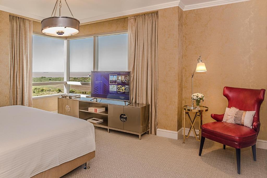 Icon Suite - Image 2