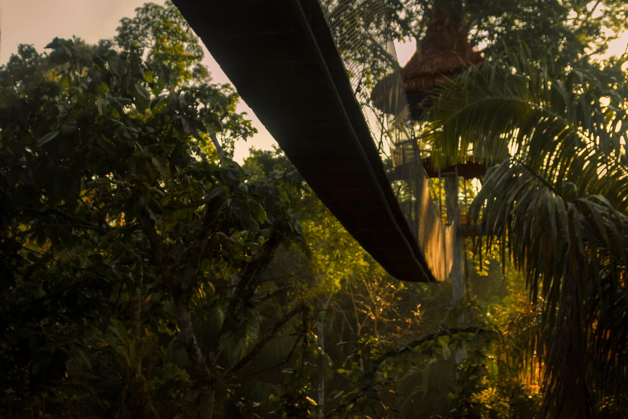 Rio Vista - Image 3