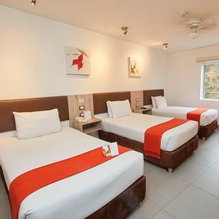 Traditional Triple Room - Image 1