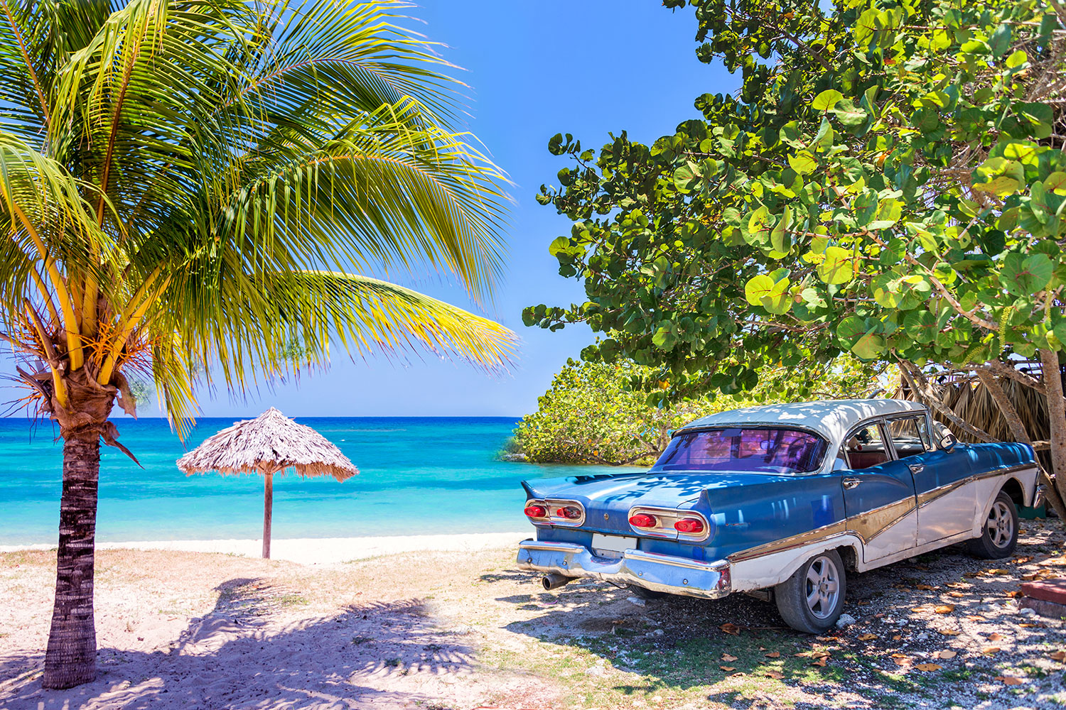 Rhythms of Cuba